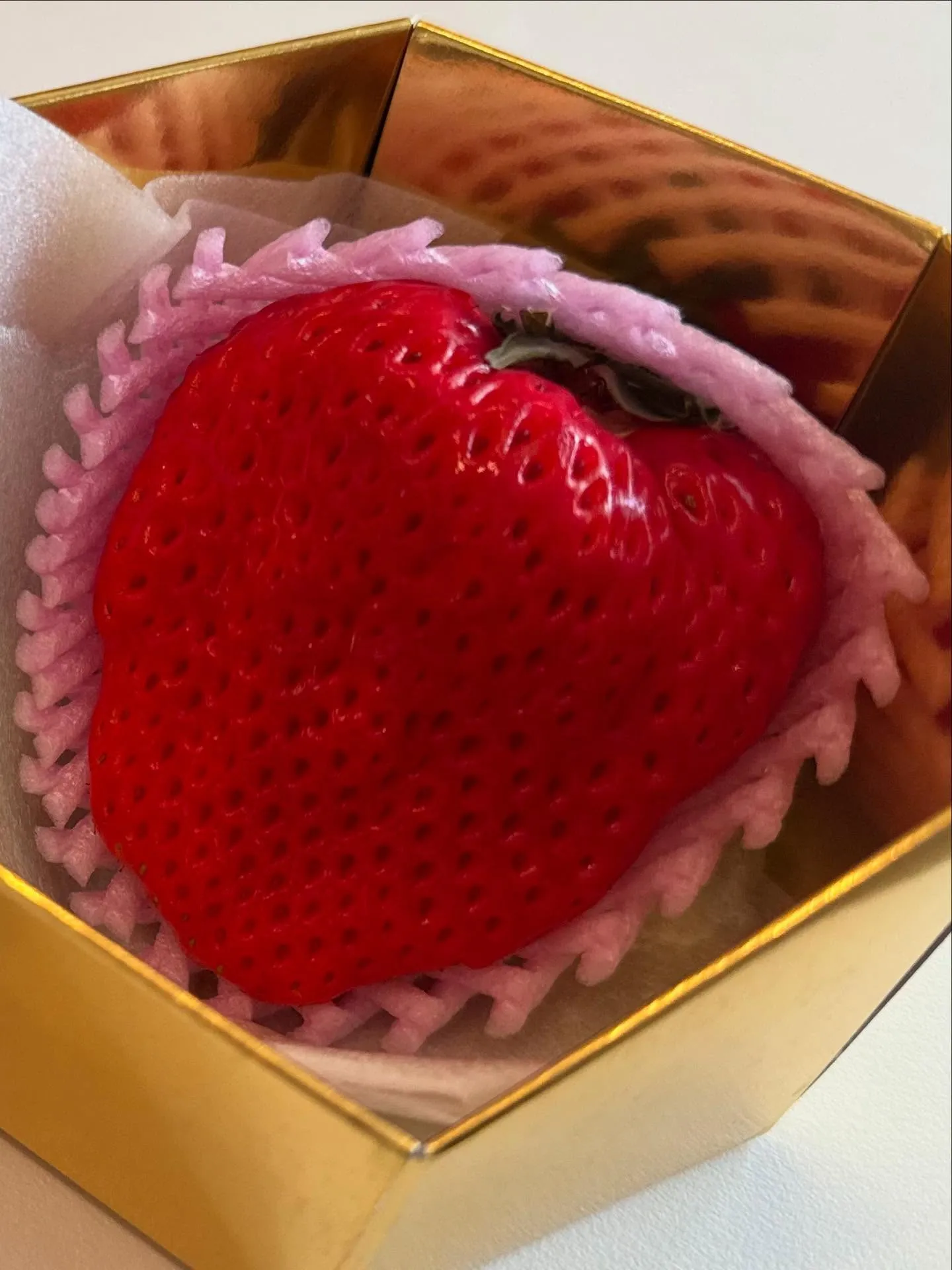 冬の寒さの中で、ゆっくりと甘みを蓄えた