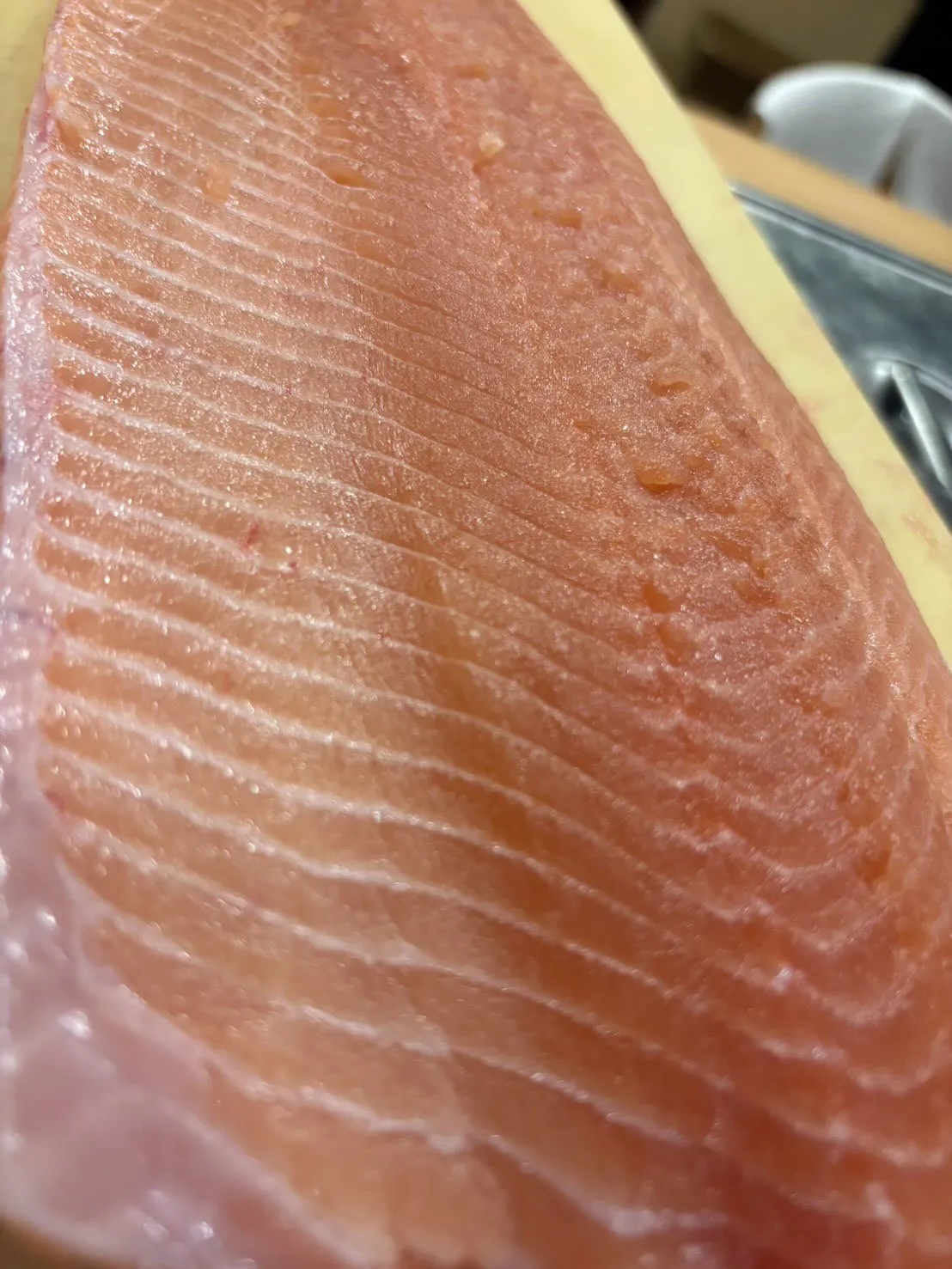 脂の乗ったサクラマス。