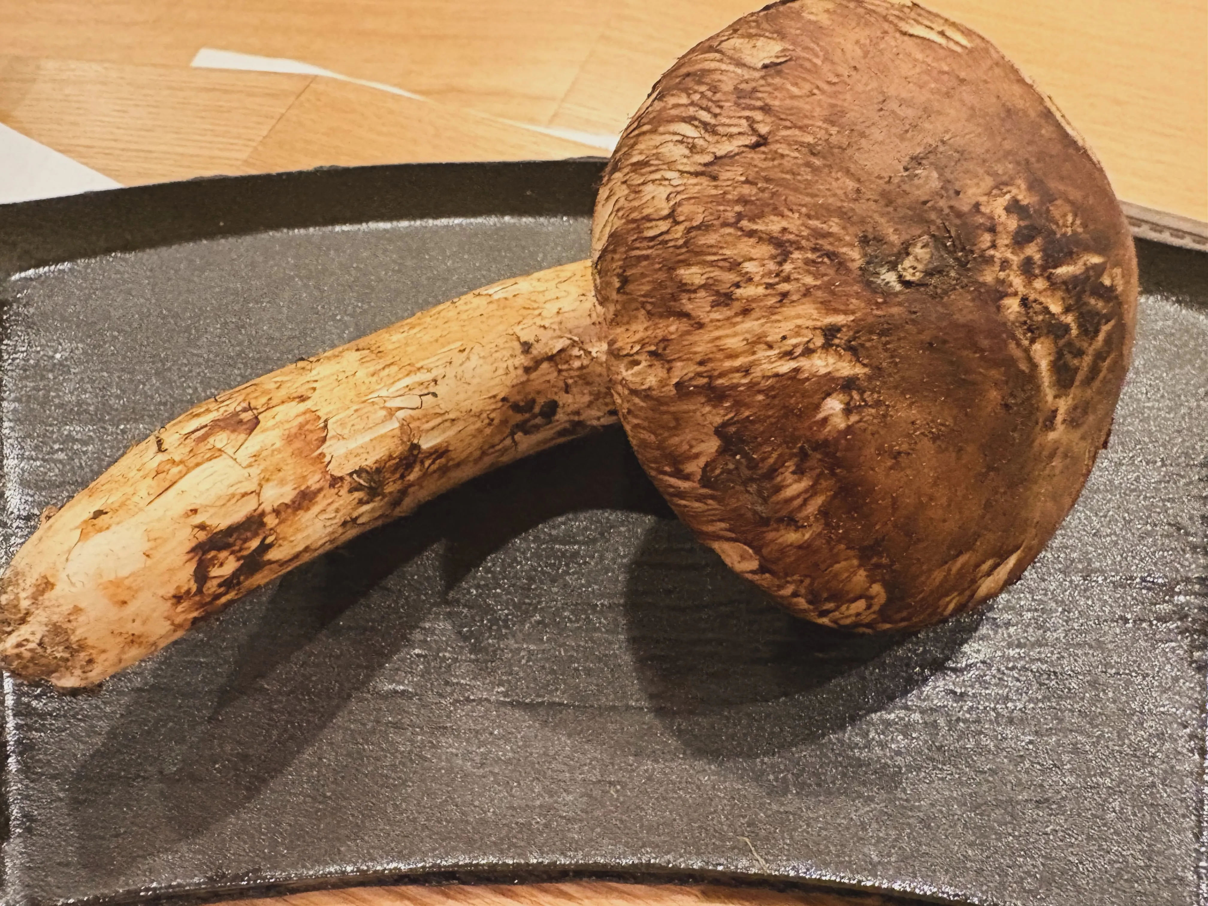 名古屋・丸の内の和食割烹。