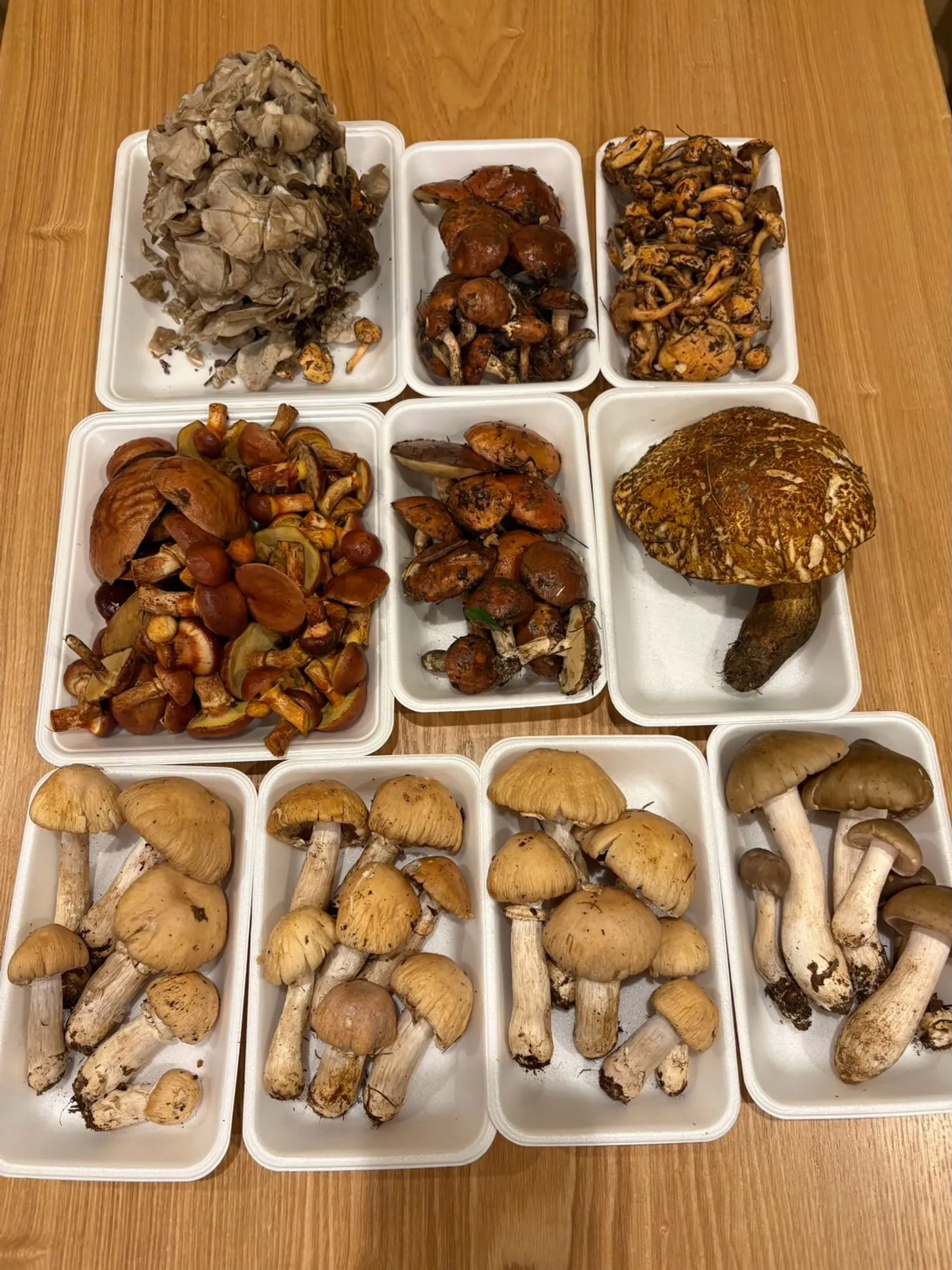 名古屋・丸の内の和食割烹。